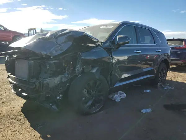 KM8R2DHE8LU135681 2020 HYUNDAI PALISADE - Image 1