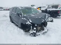 KM8R2DHE9LU030969 2020 HYUNDAI PALISADE