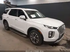KM8R2DHE9LU100423 2020 HYUNDAI PALISADE
