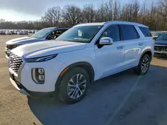 KM8R2DHEXLU090131 2020 HYUNDAI PALISADE
