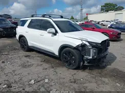 KM8R34GE0PU625245 2023 HYUNDAI PALISADE