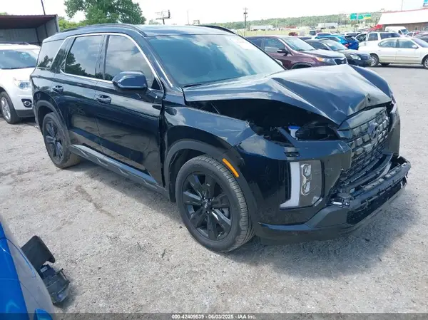 KM8R34GE0RU769736 2024 HYUNDAI PALISADE - Image 1