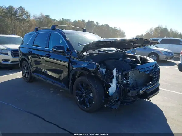 KM8R34GE1RU648794 2024 HYUNDAI PALISADE - Image 1