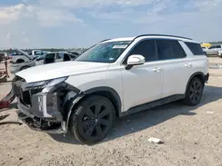 KM8R34GE1RU793723 2024 HYUNDAI PALISADE