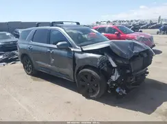 KM8R34GE1SU850203 2025 HYUNDAI PALISADE