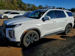 KM8R34GE1SU857748 2025 HYUNDAI PALISADE