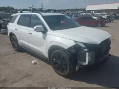 KM8R34GE2RU790247 2024 HYUNDAI PALISADE