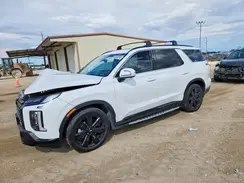 KM8R34GE2SU943487 2025 HYUNDAI PALISADE