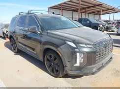 KM8R34GE3RU699746 2024 HYUNDAI PALISADE
