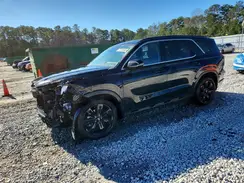 KM8R34GE4RU790234 2024 HYUNDAI PALISADE