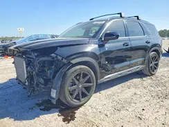 KM8R34GE4SU837168 2025 HYUNDAI PALISADE