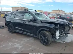 KM8R34GE9RU660479 2024 HYUNDAI PALISADE