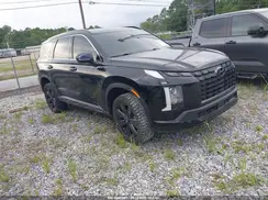 KM8R34GE9RU690999 2024 HYUNDAI PALISADE