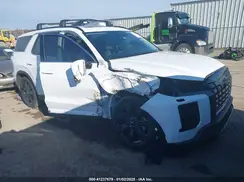KM8R34GE9RU798314 2024 HYUNDAI PALISADE