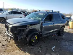 KM8R34GEXRU659566 2024 HYUNDAI PALISADE