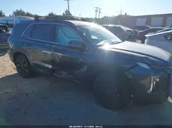 KM8R34GEXSU901746 2025 HYUNDAI PALISADE