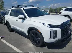 KM8R34GEXSU926159 2025 HYUNDAI PALISADE