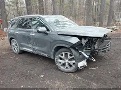 KM8R34HE6MU286842 2021 HYUNDAI PALISADE