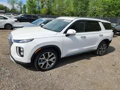 KM8R34HE8LU060350 2020 HYUNDAI PALISADE