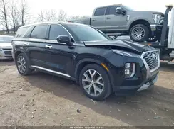 KM8R34HEXLU120077 2020 HYUNDAI PALISADE