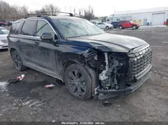 KM8R3DGE0PU533620 2023 HYUNDAI PALISADE