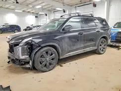 KM8R3DGE0RU669412 2024 HYUNDAI PALISADE