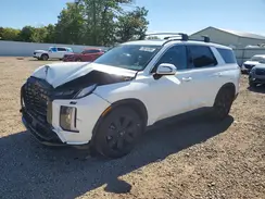 KM8R3DGE0RU680216 2024 HYUNDAI PALISADE
