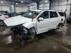 KM8R3DGE0SU861175 2025 HYUNDAI PALISADE