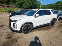 KM8R3DGE1PU498313 2023 HYUNDAI PALISADE