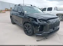 KM8R3DGE1RU652117 2024 HYUNDAI PALISADE