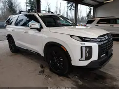 KM8R3DGE1RU669564 2024 HYUNDAI PALISADE