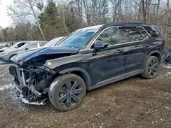 KM8R3DGE1RU779451 2024 HYUNDAI PALISADE