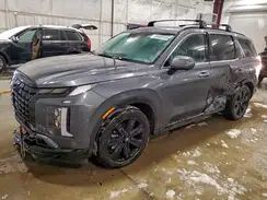KM8R3DGE1SU919391 2025 HYUNDAI PALISADE
