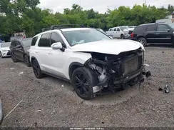 KM8R3DGE2PU550130 2023 HYUNDAI PALISADE