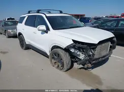KM8R3DGE3PU490391 2023 HYUNDAI PALISADE