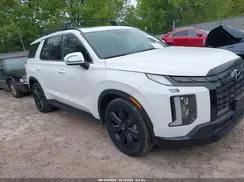 KM8R3DGE3RU671302 2024 HYUNDAI PALISADE