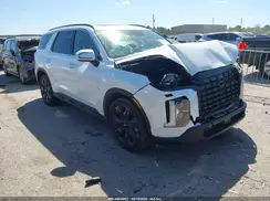 KM8R3DGE3RU689167 2024 HYUNDAI PALISADE