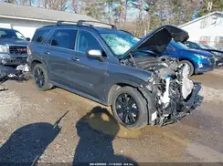 KM8R3DGE3RU798499 2024 HYUNDAI PALISADE
