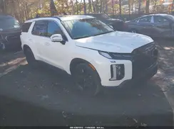 KM8R3DGE3SU839607 2025 HYUNDAI PALISADE