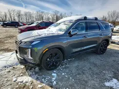 KM8R3DGE3SU920168 2025 HYUNDAI PALISADE