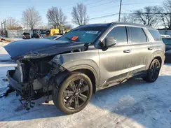 KM8R3DGE4PU636961 2023 HYUNDAI PALISADE