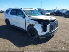 KM8R3DGE4RU738456 2024 HYUNDAI PALISADE