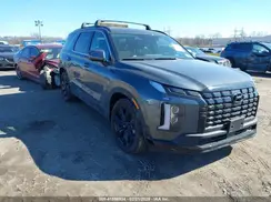 KM8R3DGE4SU831533 2025 HYUNDAI PALISADE