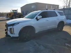 KM8R3DGE4SU857856 2025 HYUNDAI PALISADE