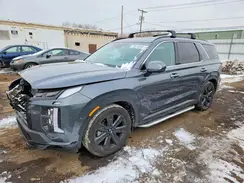 KM8R3DGE4SU900155 2025 HYUNDAI PALISADE