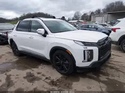 KM8R3DGE5PU533886 2023 HYUNDAI PALISADE