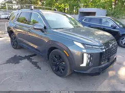 KM8R3DGE5PU548534 2023 HYUNDAI PALISADE