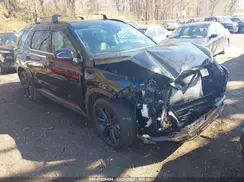 KM8R3DGE5RU731662 2024 HYUNDAI PALISADE