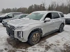 KM8R3DGE5RU738384 2024 HYUNDAI PALISADE