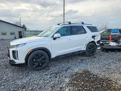 KM8R3DGE6SU845448 2025 HYUNDAI PALISADE